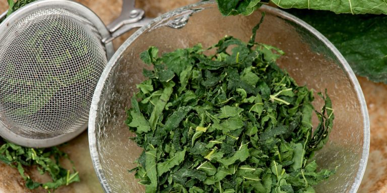 Mulberry Tea Benefits 1