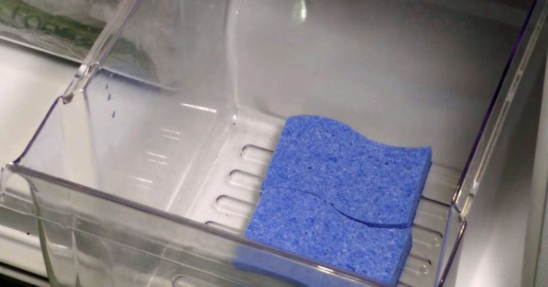 Sponge Fridge Fi 1