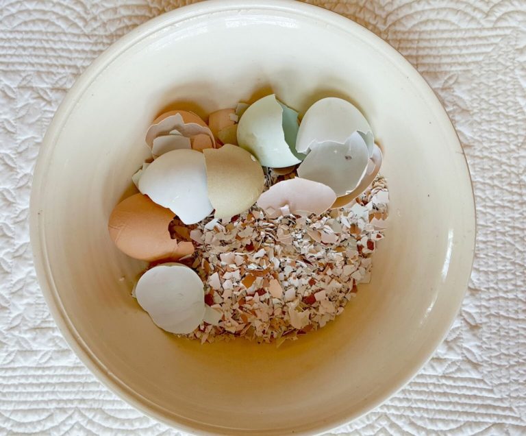 Crushed Eggshells 1 1536x1271