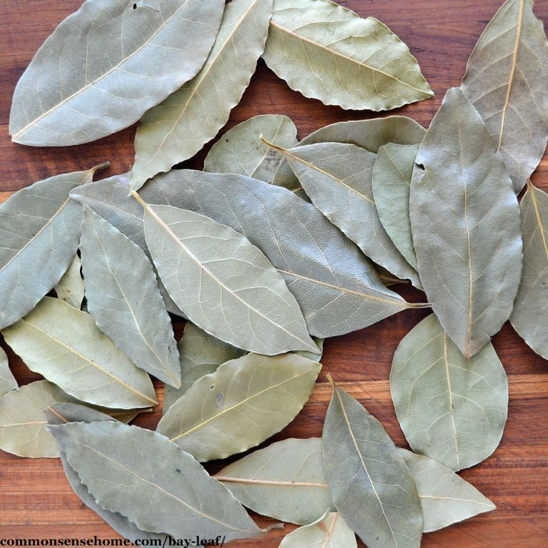 Dried Bay Leaves 1