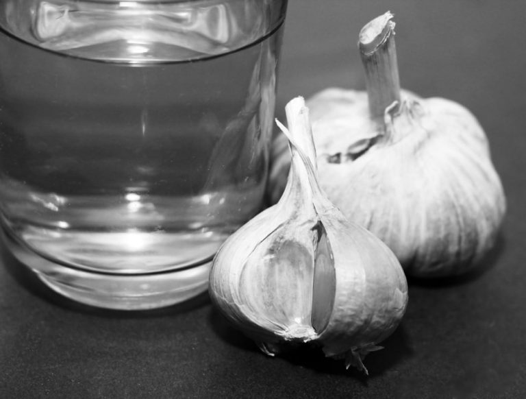 Grow Garlic Water 1 1