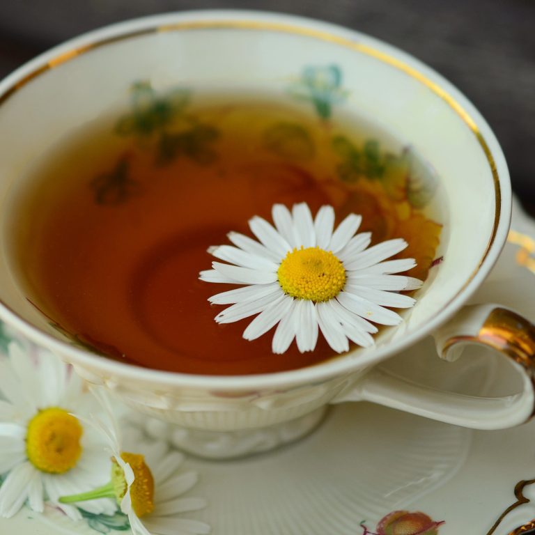 Chamomile 829538 1920