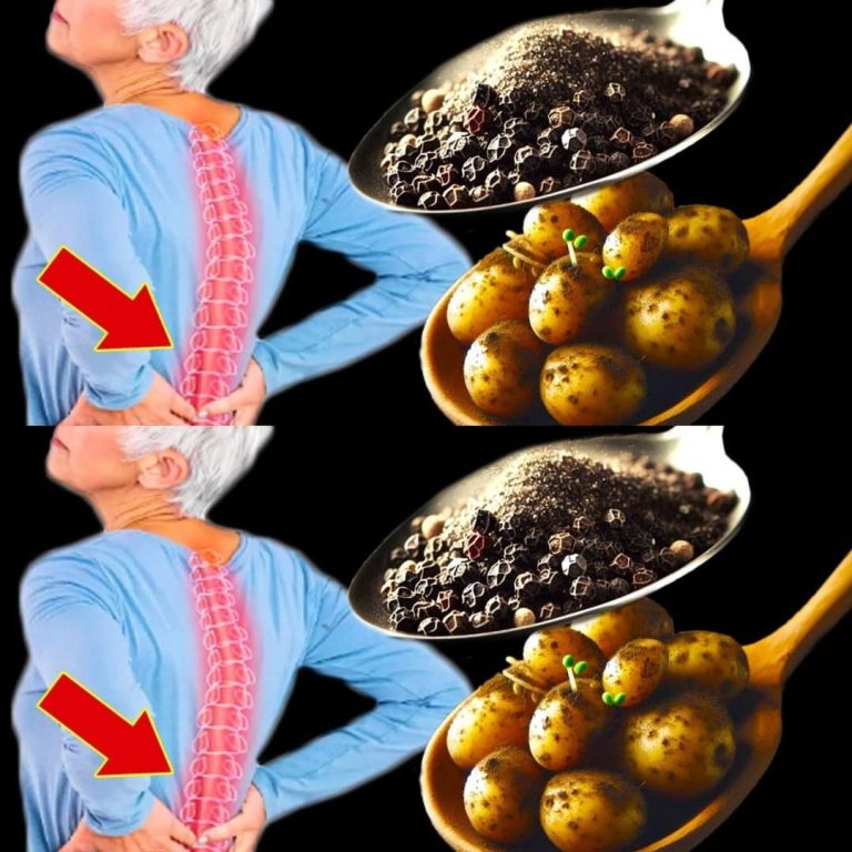 460721538 122222138330009847 722330260920615752 N