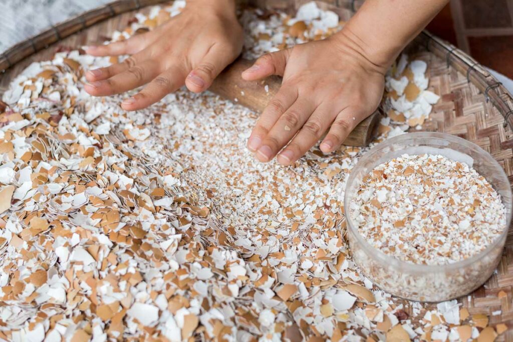 Crushing Dried Eggshells By Hand Hero 1 1024x683