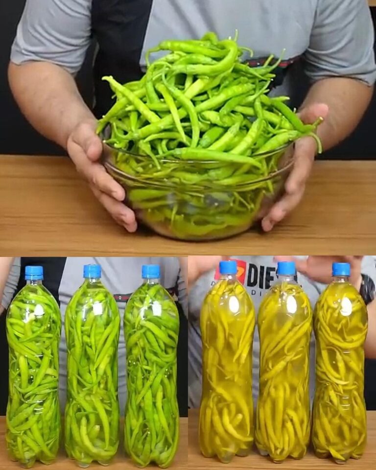 463010125 951624167009181 322403543189039253 N