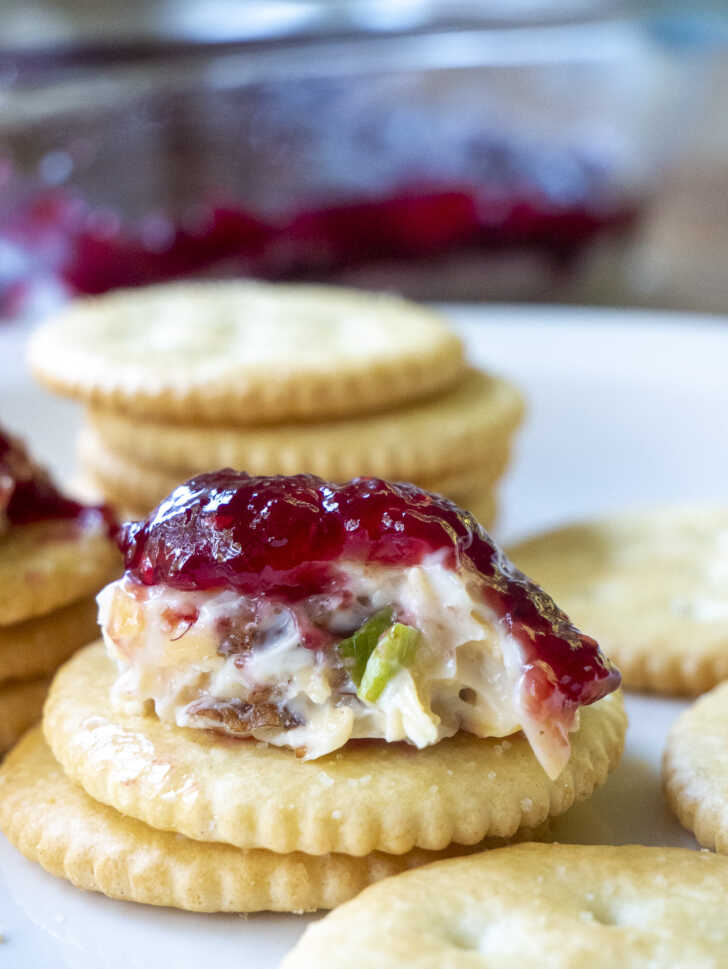 Raspberry Dip Vertical 13 728x969