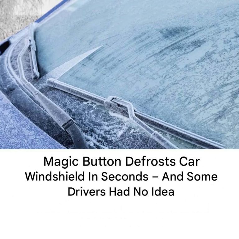 476402008 1033478575490406 6426541396735793890 N
