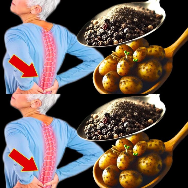 482093550 122118321632709878 993305301145467624 N