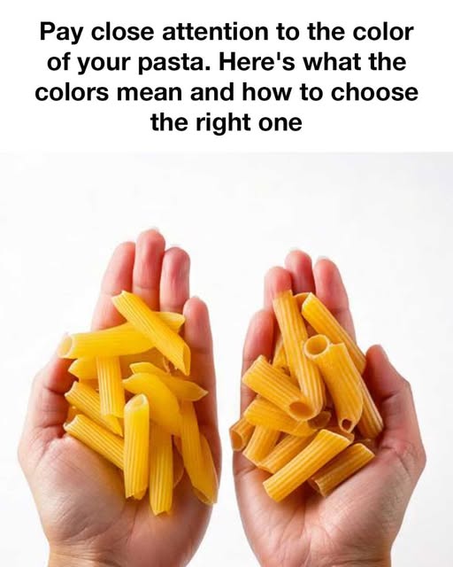 481780209 1055132366658360 8122736337778674648 N